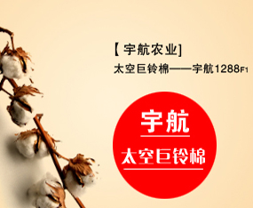 ɽ|r(nng)I(y)l(f)չ޹˾